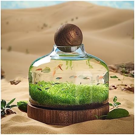 Eco-Friendly Fish Bowl Tank - Glass Bottle Miniature Landscape, Self-Circulating Plant Holder with Wooden Base, Ideal Desktop Aquarium Decor for Small Fish and Plants (Large)