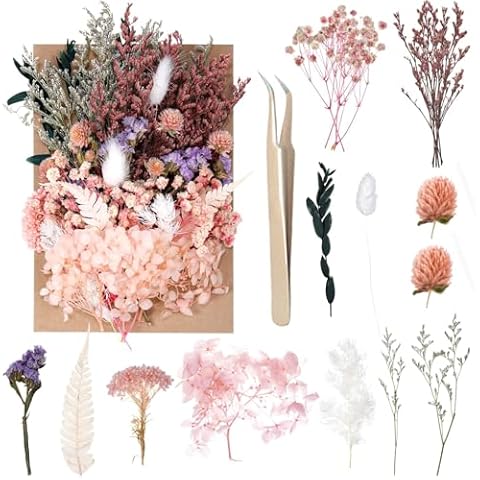 Mixed Natural Dried Flowers by Gardenife Cover
