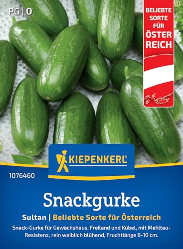 Kiepenkerl Profi-Line Snackgurkensamen Sultan F1 1076460 - Gemüsesamen für eine resistente Snack-Gurke mit einer Fruchtlänge von 8 bis 10 cm Saatgut