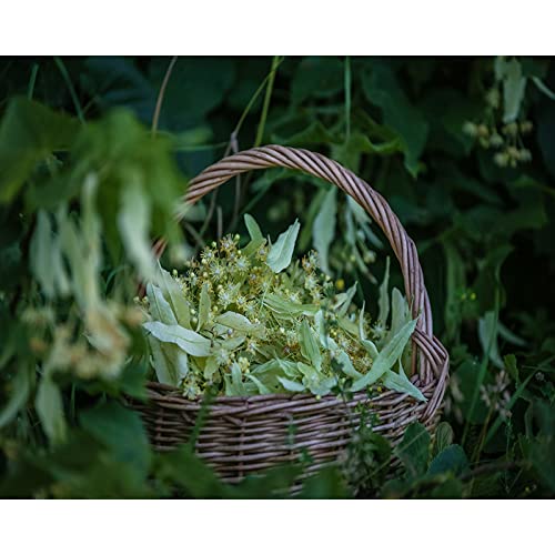 Point de croix pré-imprimé : créez un panier de fleurs pour votre déco