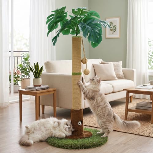 Woochpet Cat Scratching Post for Indoor Cats and Kitten - 35.43 Tall Cat Scratching Post with Sisal Rope Palm Tree Cat Scratch Post with Hanging Ball