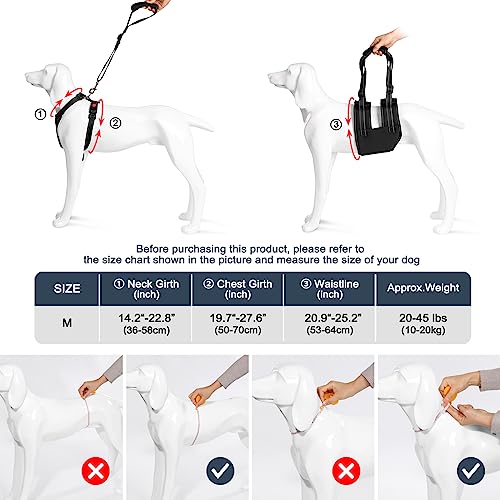 Ownpets Dog Support Harness Set, Support & Rehabilitation Sling with Adjustable Chest Strap,Assisted Strap & Hauling Cable - Image 3