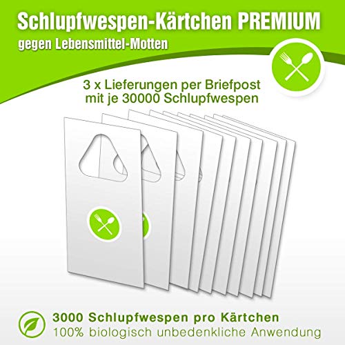 Preisvergleich Produktbild Mottenfrei - Schlupfwespen gegen Lebensmittelmotten Biologisch / Nachhaltige Mottenbekämpfung in Lebensmitteln 3 Lieferungen à 30.000 Trichogramma Alternative zu Mottenfallen / Mottenkugeln / Mottensprays