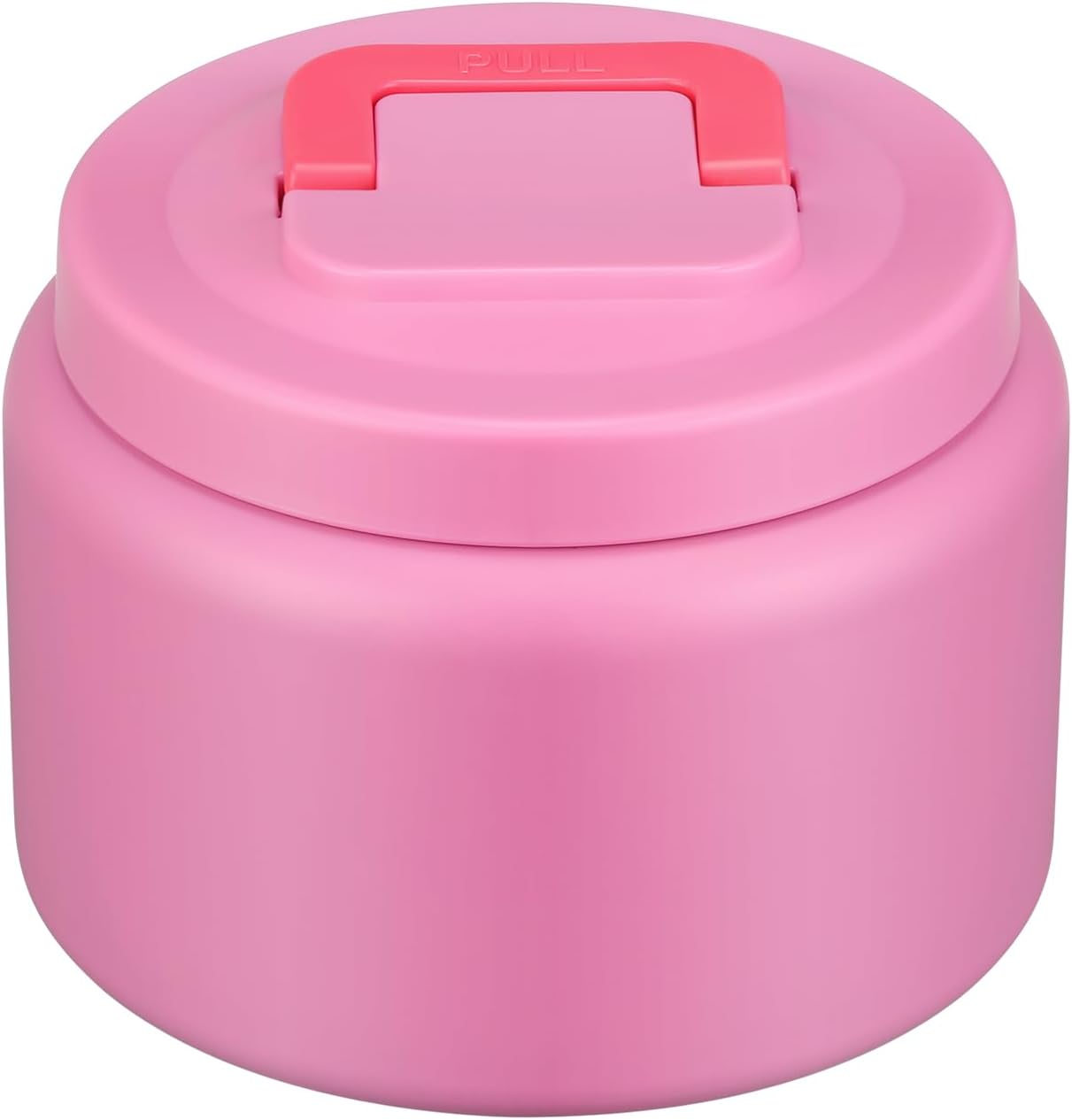 PIQUEBAR 8oz Kids Thermo for Hot Food,Small Lunch Thermo Food Container Stainless Steel,Easy Open Wide Mouth Thermo for Hot Cold Food for Preschool Travel