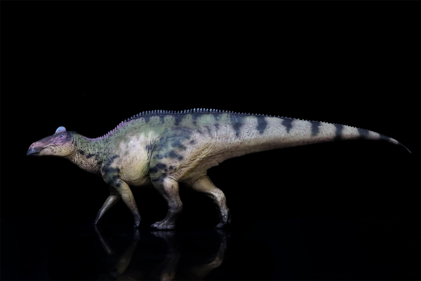 Amazon.co.jp: WLNTDOLA HAOLONGGOOD 1:35スケール エドモントサウルス