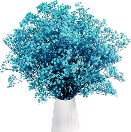 Gipizi Gypsophile Séché Fleurs Bleu, 42cm Naturel Gypsophila Fleurs Sechees Plus de 3000 Boutons...