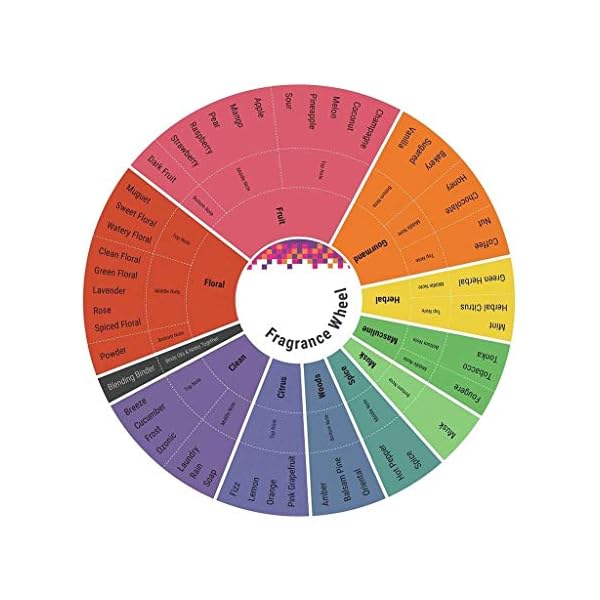 Christian Dior J'adore By Christian Dior for Women 5.0 Oz Eau De Parfum Spray, 5.0 Oz