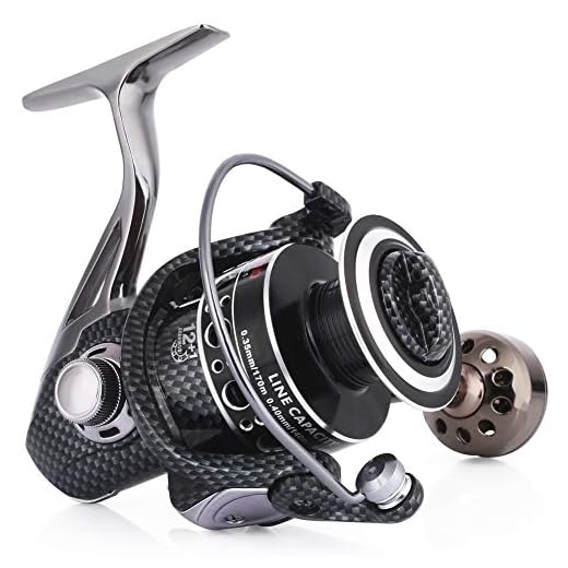Sougayilang Fishing Reel Double Bearing Light Smooth Casting 5.2:1 Collapsible Handle Spinning Reels (DE4000)