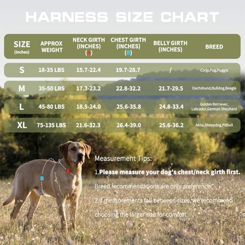 Dog Harness for Large Dogs Heavy Duty, Tactical No Pull Dog Harness with Molle System, Easy On and Off Service Dog Vest, Breathable Padded, Adjustable Reflective Pet Vest for Walking Hiking Training - Image 7