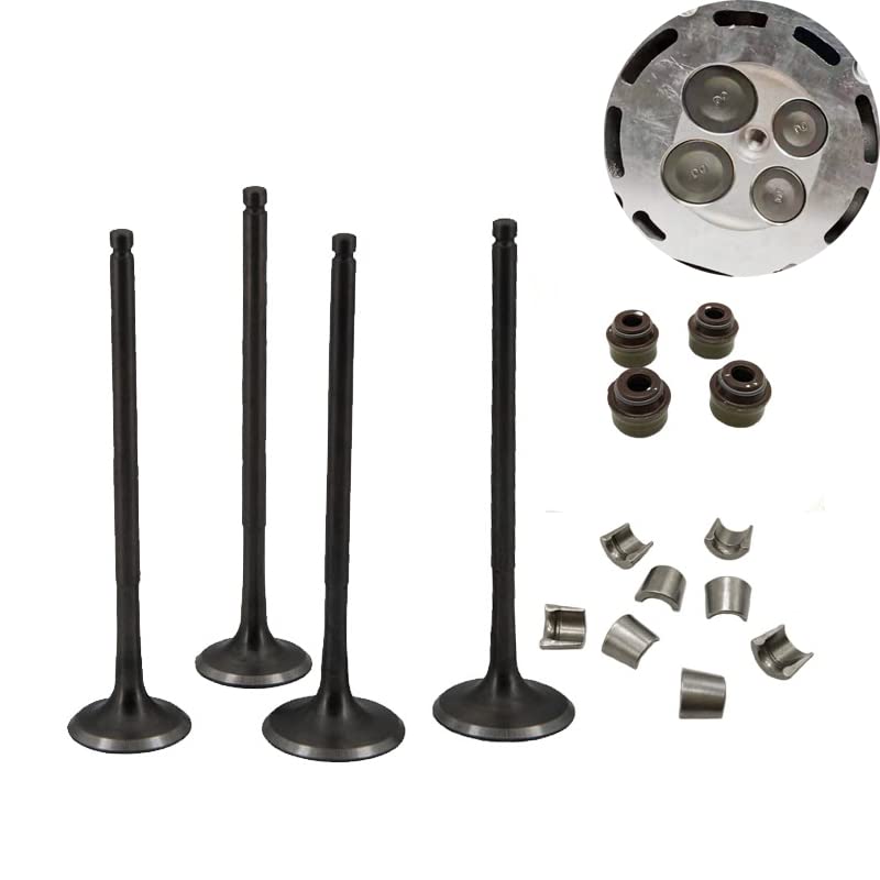Zawór motocyklowy zacisk blokady zacisk uszczelka olejowa wlot i wydech pasuje do ZON-GSHEN-Motor Racing NC250 ZS177MM 250cc 4 suwowy BS-E KA-YO K6 (Color : Full set)