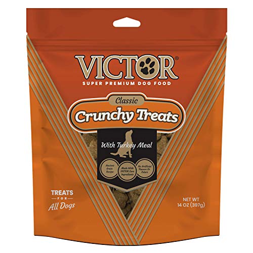 Top 10 Best Victor Brand Dog Foods A Guide to Premium Kibble for Your Pup! Furry Folly
