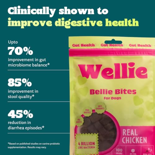 Image of Wellie Bellie Bites Probiotic Dog Treats | Real Chicken Flavor | Prebiotics & Probiotics for Gut Health & Immune Support | 4 Billion CFU | Helps Reduce Gas, Bloating & Bad Breath | 100g (Pack of 1)