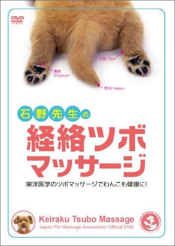 Amazon Co Jp 石野先生の経絡ツボマッサージ 東洋医学のツボマッサージでわんこも健康に Dvd Dvd ブルーレイ 石野孝 小高麻友美 宮澤雅之