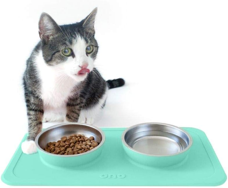 Ono Good Bowl Food & Water Double Feeder - Small to Medium Pets No Spill Non Skid Silicone Mat & Stainless Steel Bowls for Dogs or Cats (Mint)