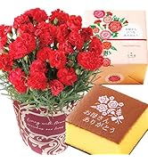 Amazon.co.jp: 花のギフト社 母の日 花 鉢植え ブーゲンビリア