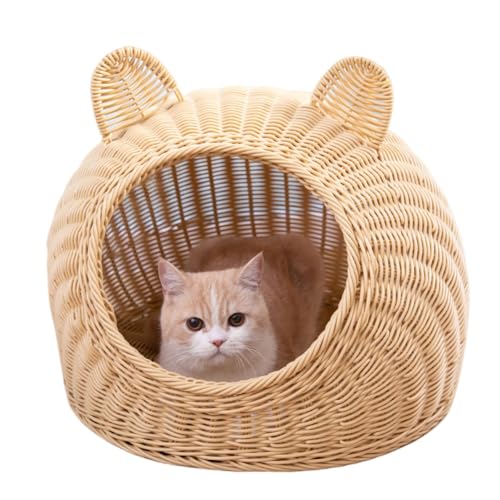 AOUCNL A 傫 􂦂 ALbgnEX h[    ~ ybgnEX h[^ L nEX xbh ʔN ˂ Lbgxbh  ې \ ҂ ʋC I[V[Y K (x[W,TCYL)