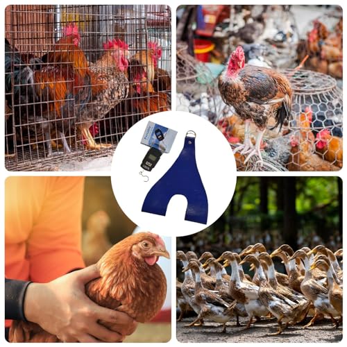 Eslinga de pesaje de pollo ajustable con báscula de peso para granjas 8