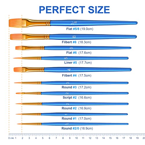 Paint Brush Set, Heartybay 10Pcs Paint Brushes For Acrylic Painting, Water Color Paintbrushes For Kids, Easter Egg Painting Brush, Face Paint Brush For Halloween, Round Pointed Tip Detail Small Brush #TOP5