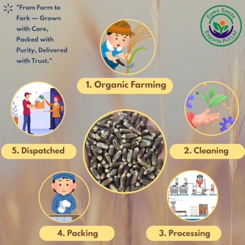 Image of Eywa Seeds & Exports Pvt Ltd Organic Black Wheat Flour (15 Kg) For Eating And Cooking|Kale Gehu Ka Atta|Produce Of India From Organic Farms
