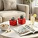 MyGift 4-Inch Red Ceramic Indoor Small Plant Pot, Mini Modern Decorative Planters with Candy Ribbon Design, Set of 2