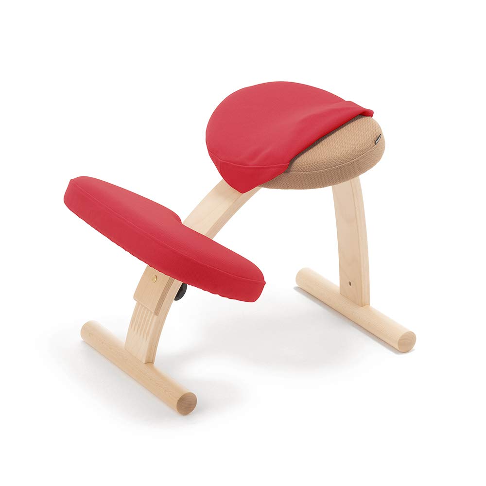 Amazon.co.jp: バランス イージー 専用カバー【カバーのみ】 バランス  