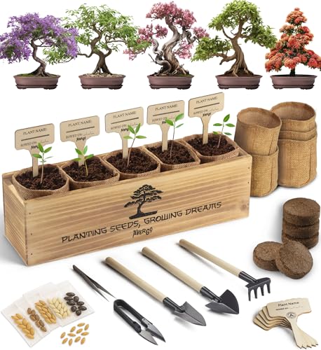 AVERGO Bonsai Tree Kit for Beginners