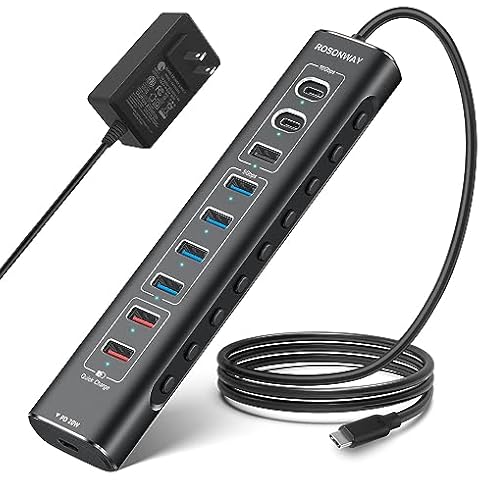 Rosonway 10-Port Powered USB 3.2/USB C Hub 60W with 10Gbps USB-A 3.2, 2 USB-C 3.2, 4 USB 3.0 Data Ports, 1 USB-C PD and 2 USB-A Fast Charging Ports, Aluminum USB Splitter for Laptop/PC, RSH-A10QPD Cover
