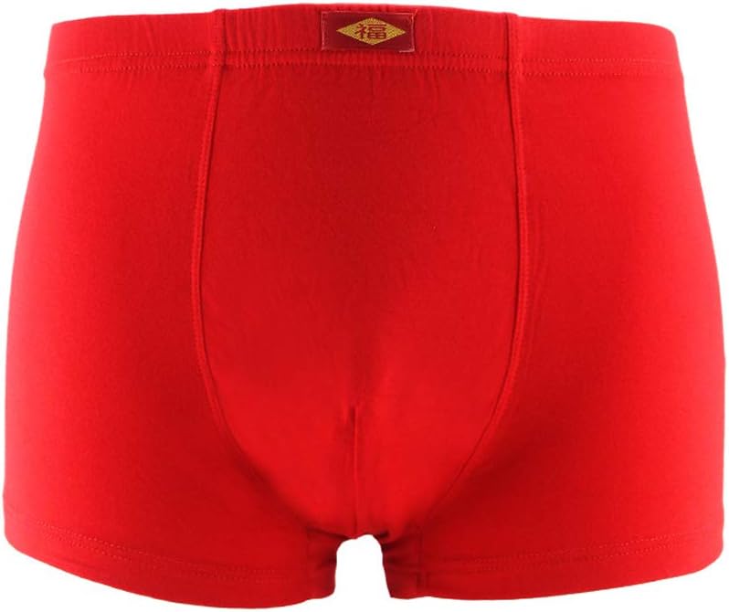 youlehe Men's Underwear Soft Bamboo Rayon Boxer Briefs Stretch Trunks Pack Medium 5 Pack 011