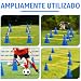 Imagen de YushengTai Agility Set Perros