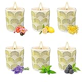 【Embalaje reusables】Las velas perfumadas se envían en tarros y decoradas con hermosos diseños artísticos. Después de la combustión completa, estas latas se pueden utilizar para almacenar algunos de sus objetos o plantar algunas plantas suculentas para decorar el medio ambiente.