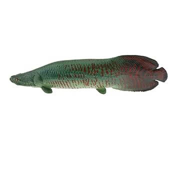 【美品】82cm ピラルク（樹脂製）fish craft REAL製作 82cm ピラルク 魚フィギュア 立体・オブジェ fish craft