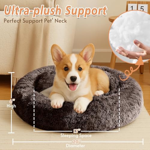Image of JOLLYVOGUE Calming Small Dog & Cat Bed for Indoor Cats - 20 inches Washable Donut Bed for Kittens & Puppies, Anti-Anxiety Round Fluffy Plush Pet Beds (Fits up to 15 lbs)