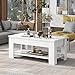 Stolik kawowy z dużą półką, nowoczesny design, stolik drewniany do salonu, stolik do przechowywania sofy, do domowego biura, biały