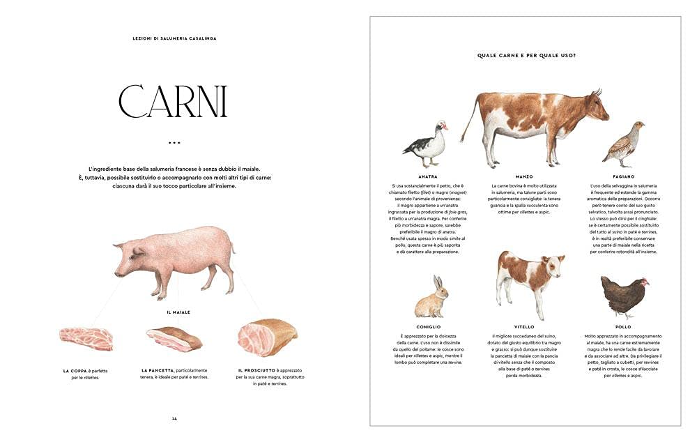Terrines, rillettes, salsicce e pasticci. 80 ricette casalinghe della grande tradizione francese