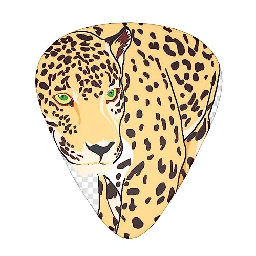 Médiator de guitare Wild Cheetah 12 médiators tendance et durables dans une boîte pour ukulélé guitare électrique basse - Les Beatles, Paul McCartney, John Lennon, RIngo Starr, George Harrison Médiator de guitare Wild Cheetah 12 médiators tendance et durables dans une boîte pour ukulélé guitare électrique basse