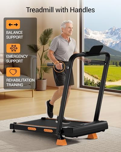 Standing treadmill desk