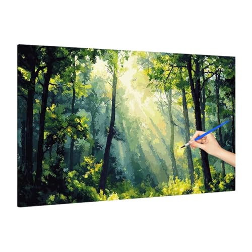 G i yCgoCio[ X hG DIY lp Paint by Numbers for Adults Ǐ z[ ItBX t[Ȃ A[gG H| S l q 蕨 160x70cm A-89