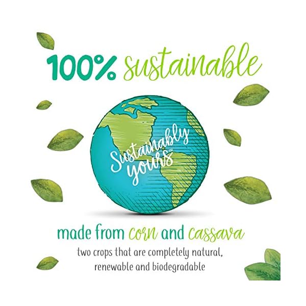 Sustainably Yours Natural Cat Litter, Large Grains, 10 lbs Gourmetian