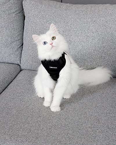 CatRomance Cat Harness Escape Proof, Breathable Cat Harness and Leash for Walking, Easy Control Cat Leash and Harness… - Image 7