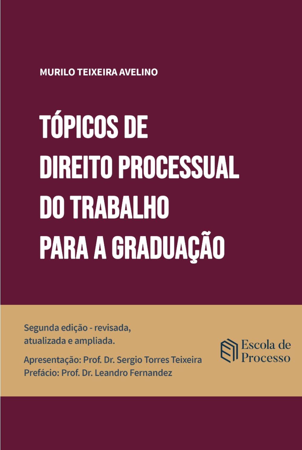 Tópicos de Direito Processual do Trabalho para a Graduação