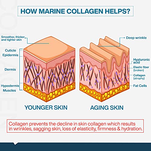 Image of MyFitFuel Hydrolyzed Beauty Marine Collagen Peptides (100gm, Unflavored) with Biotin, Hyaluronic Acid, Zinc, Vitamin C & Glucosamine | For Skin, Hair, Nails & Joints