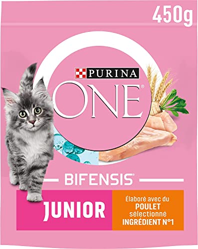 Purina One Bifensis Junior - Pienso para Gatos, 1-12 Meses, Pollo y Cereales, 800 g