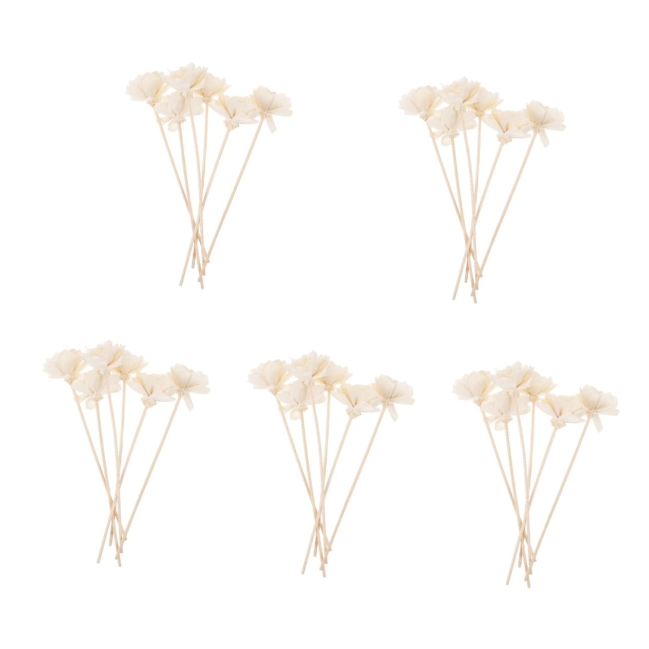 GALPADA 5 Set Rattan Per Aromaterapia Senso Nebbia Capsule Diffusori Bruciatore Essential Oil Diffuser Aroma Diffuser Decori Domestici Bastoncino Per Aromaterapia Fiori Secchi 6 Pezzi*5
