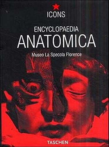 Encyclopaedia Anatomica : Une sélection des cires anatomiques Encyclopaedia Anatomica : Une sélection des cires anatomiques