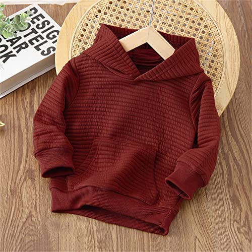 Moletom com capuz infantil infantil infantil bebê meninas meninos manga longa sólida patchwork moda