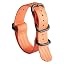 Orange Band BLack Buckle