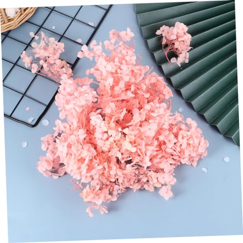 Pétalos secos preservados de hortensia rosa miniatura 2