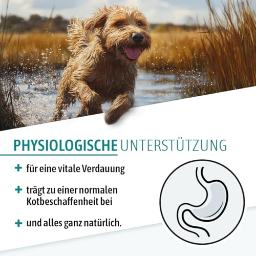 AniGo Heilmoor für Hunde 500g – Verbessert die Kotbeschaffenheit, Optimale Verdauung, Immunsystem, Magen-Darm-Aktivität, Appetit Anregung I Natürliche Heilerde Moor für Hund