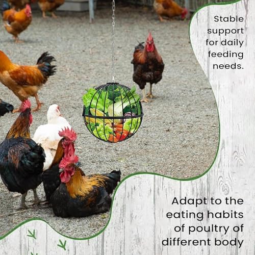 Distributeur nourriture poules suspendu en métal durable - 6