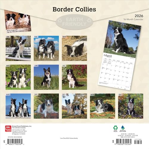 Border Collies | 2026 12 x 24 Inch (Hanging) Monthly Square Wall Calendar | Plastic-Free | BrownTrout | Animals Dog Breeds - image 2